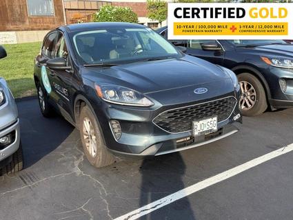2022 Ford Escape St. Louis MO
