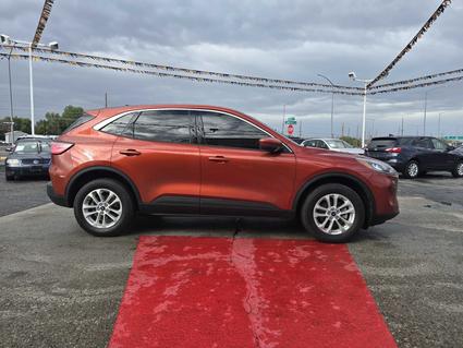 2020 Ford Escape Billings MT