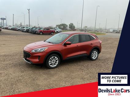 2020 Ford Escape Devils Lake ND