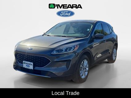 2020 Ford Escape Denver CO