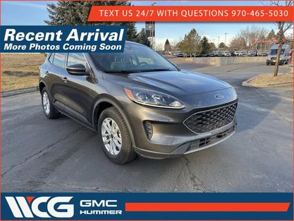 2020 Ford Escape Greeley CO