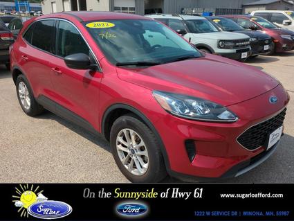 2022 Ford Escape Winona MN