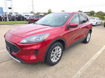 2021 Ford Escape Cape Girardeau MO