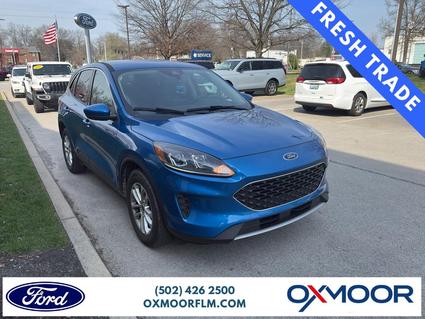 2020 Ford Escape Louisville KY