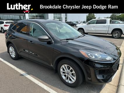2022 Ford Escape Minneapolis MN