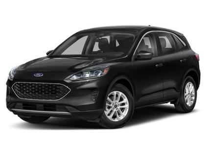 2022 Ford Escape Minneapolis MN