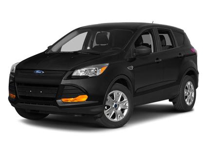 2014 Ford Escape Minneapolis MN
