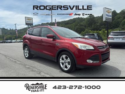 2014 Ford Escape Rogersville TN