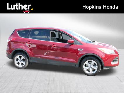 2014 Ford Escape Hopkins MN
