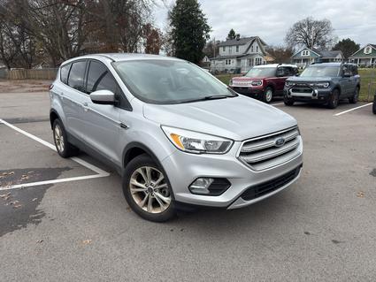 2019 Ford Escape Louisville KY