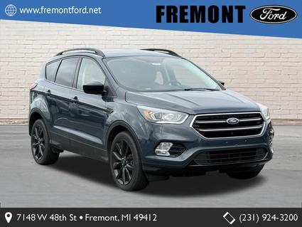 2019 Ford Escape Fremont MI