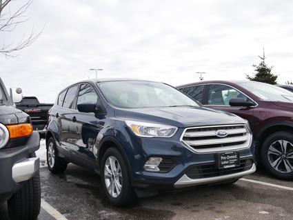 2019 Ford Escape Minneapolis MN