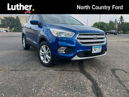 2019 Ford Escape Minneapolis MN