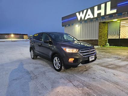 2019 Ford Escape Devil's Lake ND