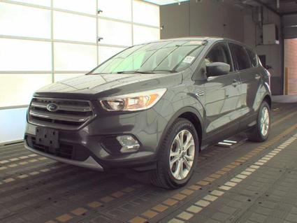 2019 Ford Escape Devil's Lake ND