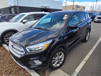 2019 Ford Escape Loveland CO