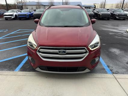 2017 Ford Escape Bloomington IN