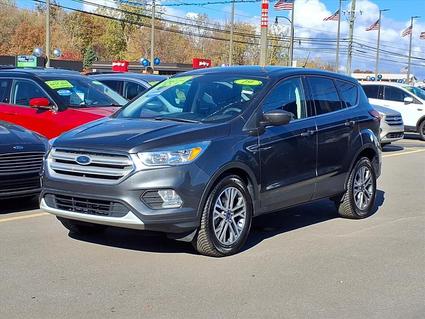 2019 Ford Escape Woodhaven MI