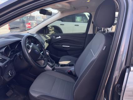 2014 Ford Escape Bloomington IN