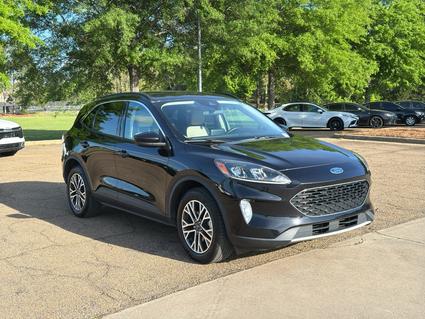 2020 Ford Escape Brandon MS