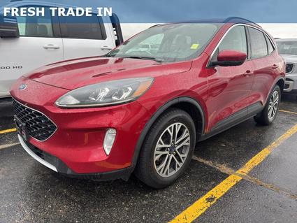 2020 Ford Escape Casper WY