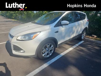 2013 Ford Escape Hopkins MN