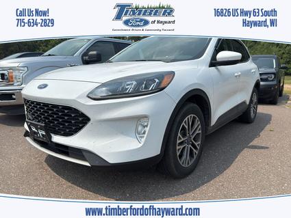 2020 Ford Escape Hayward WI