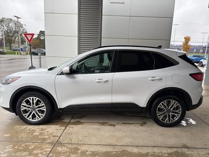 2022 Ford Escape Bloomington IN