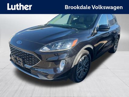 2020 Ford Escape Minneapolis MN