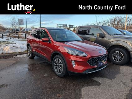 2020 Ford Escape Minneapolis MN