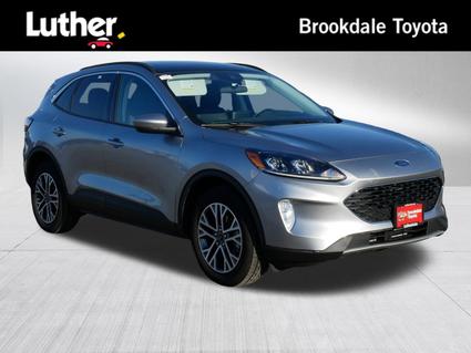 2022 Ford Escape Minneapolis MN