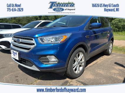 2019 Ford Escape Hayward WI