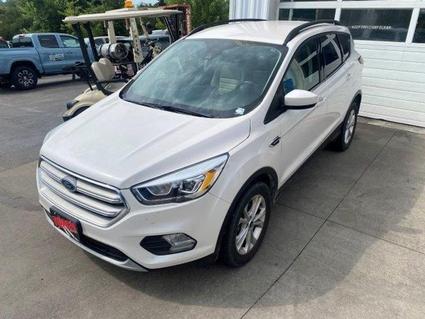 2019 Ford Escape Hazel Green WI