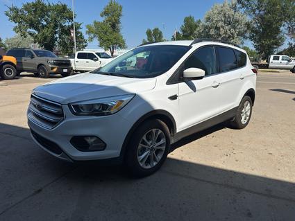 2019 Ford Escape Wolf Point MT