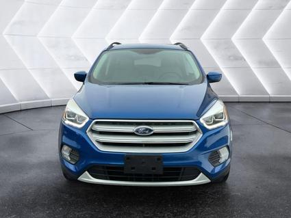 2019 Ford Escape Evansville IN