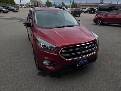2019 Ford Escape Coeur D'Alene ID