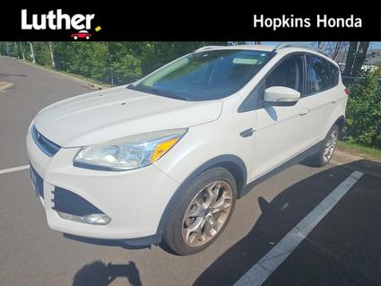 2015 Ford Escape Hopkins MN