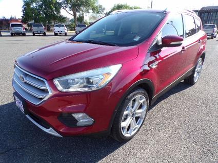2019 Ford Escape Cody WY