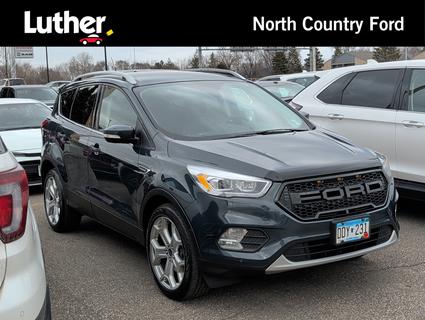 2019 Ford Escape Minneapolis MN