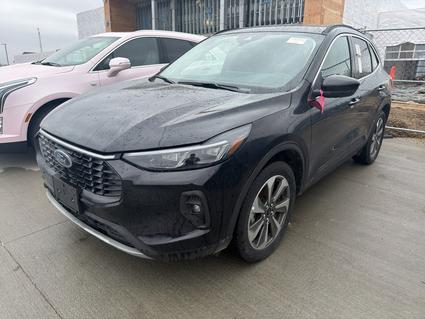 2025 Ford Escape Marshall MN