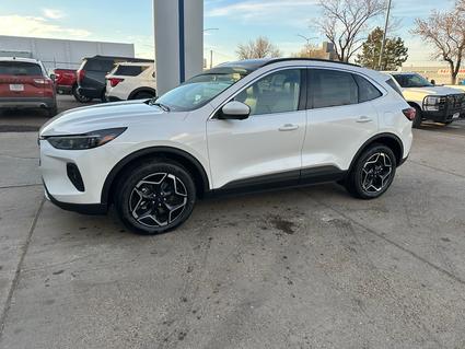 2026 Ford Escape Wolf Point MT