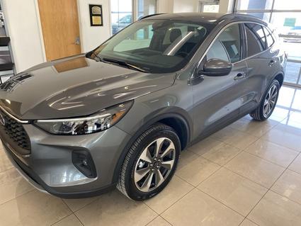 2025 Ford Escape Sparta IL