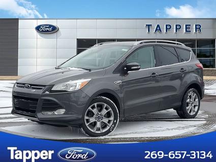 2015 Ford Escape Paw Paw MI