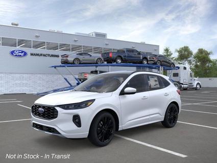 2026 Ford Escape Carbondale IL