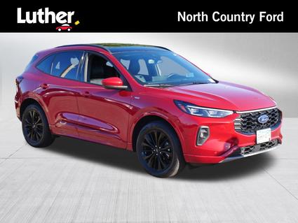 2024 Ford Escape Minneapolis MN