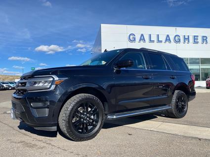 2022 Ford Expedition Elko NV