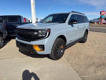 2025 Ford Expedition Lexington NE