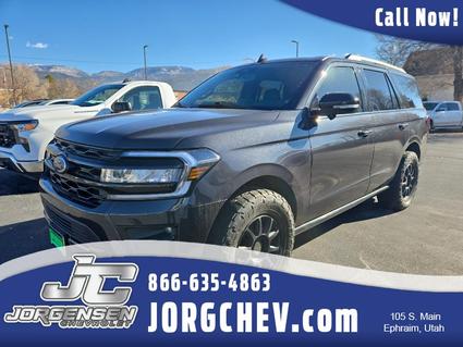 2022 Ford Expedition Ephraim UT