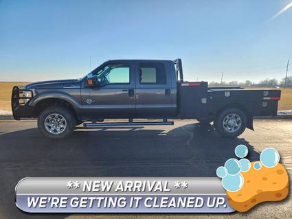 2015 Ford F-250 Watseka IL