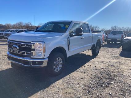 2024 Ford F-350 Laurel  MT